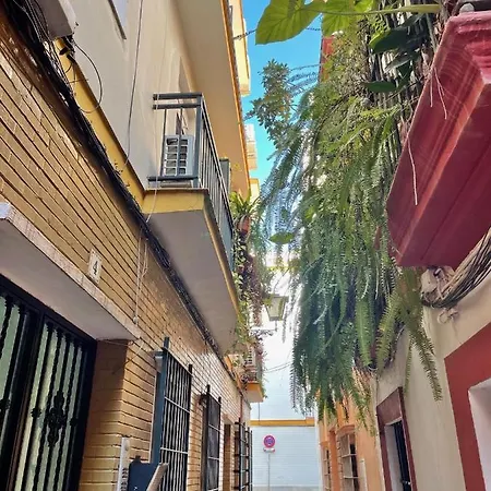Barrio De Santa Cruz, La Juderia. Zona Inmejorable Apartment Seville Exterior photo